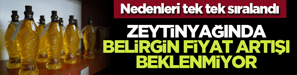 Nedenleri tek tek sıralandı: Zeytinyağında belirgin fiyat artışı beklenmiyor