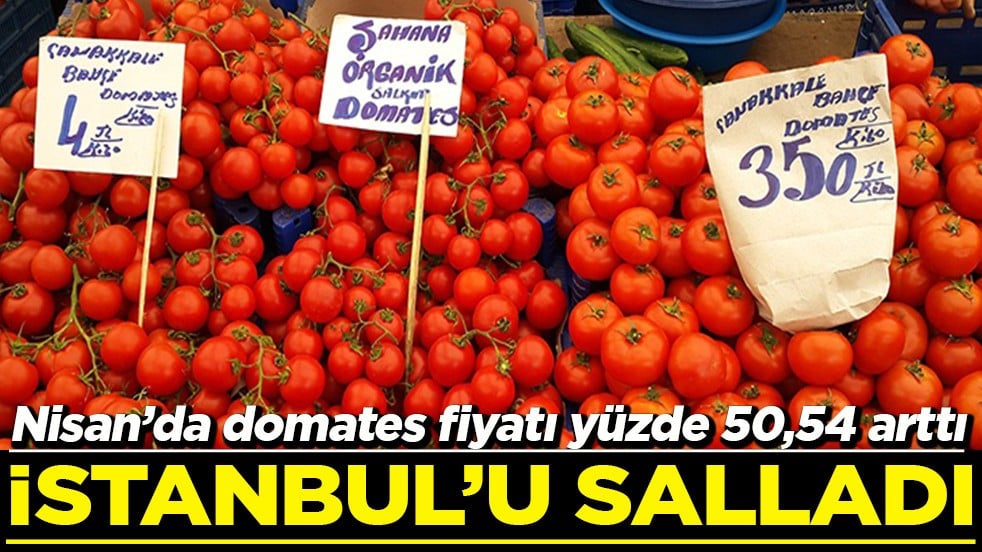 Nisan’da domates fiyatı yüzde 50,54 arttı İstanbul'u salladı