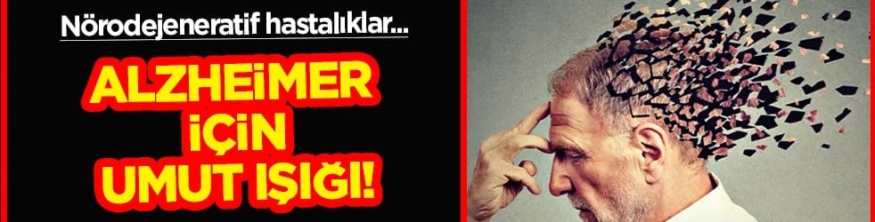 Nörodejeneratif hastalıklar... Alzheimer ve benzeri hastalıklara umut ışığı