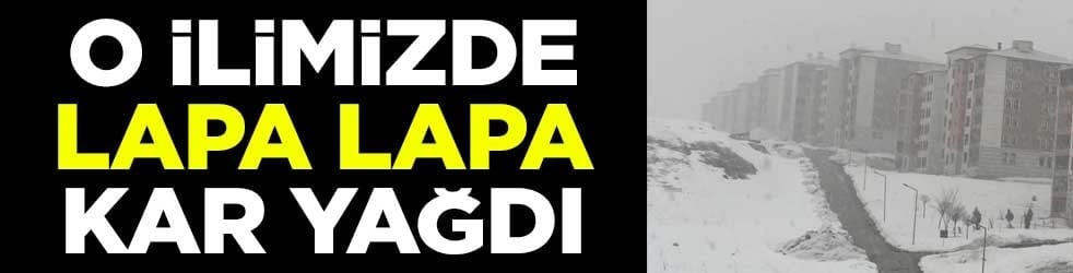 O ilimizde lapa lapa kar yağdı