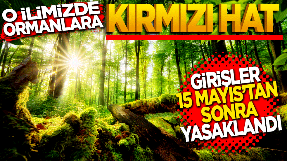 O ilimizde ormanlara 'Kırmızı Hat': Girişler 15 Mayıs'tan itibaren yasaklandı!
