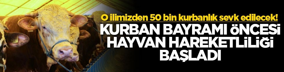 O ilimizden 50 bin kurbanlık sevk edilecek! Kurban Bayramı öncesi hayvan hareketliliği başladı