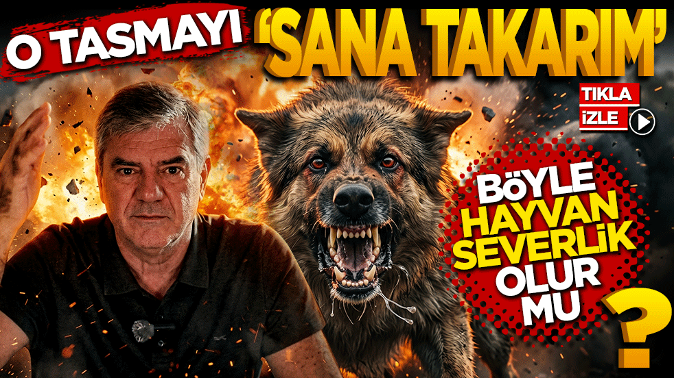 O Tasmayı Sana Takarım! "Böyle Hayvanseverlik Olur mu?"