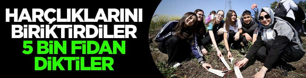 Öğrenciler harçlıklarını biriktirdi! Yangında zarar gören ormana 5 bin fidan diktiler