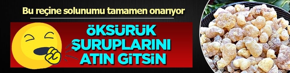 Öksürük şuruplarını atın gitsin: Bu reçine solunumu tamamen onarıyor! Antik çağların mirası...