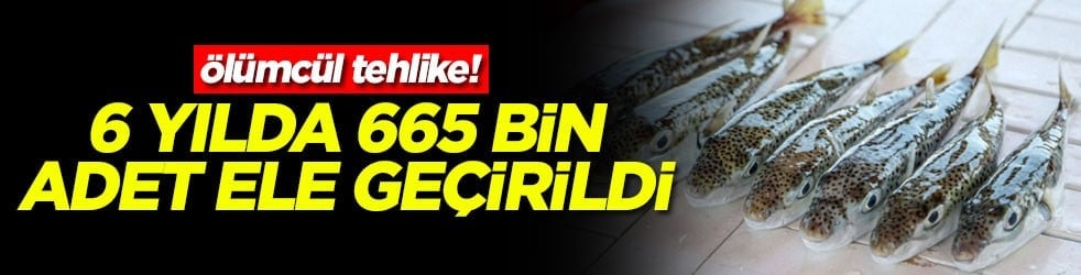 Ölümcül tehlike! 6 yılda 665 bin adet ele geçirildi