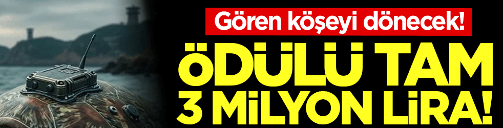 Onu gören köşeyi dönecek: Ödülü tam 3 milyon TL!