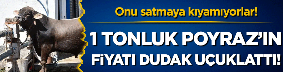 Onu satmaya kıyamıyorlar: 1 tonluk Poyraz'ın dudak uçuklatan fiyatı! 