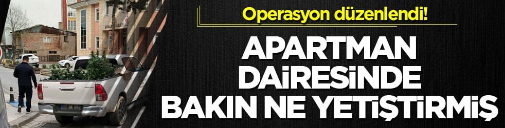 Operasyon düzenlendi! Apartman dairesinde bakın ne yetiştirmiş