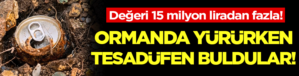 Ormanda yürüyüş yaparken buldu! Değeri tam 15 milyon dolar!
