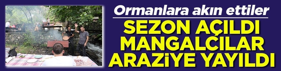 Ormanlara akın ettiler Sezon açıldı mangalcılar araziye yayıldı