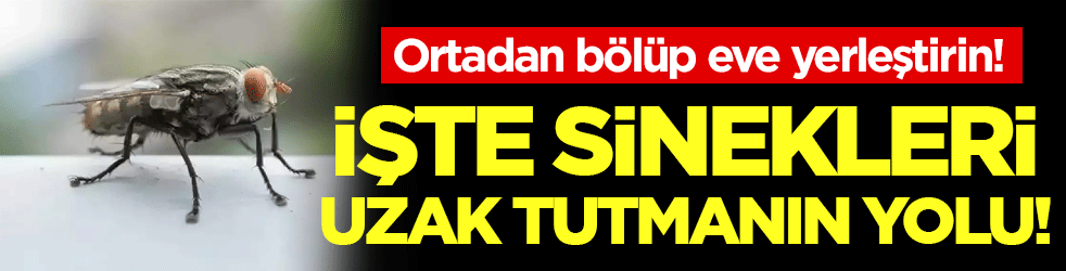 Ortadan ikiye bölüp eve koyun! İşte karasinekleri uzaklaştırmanın yolu!