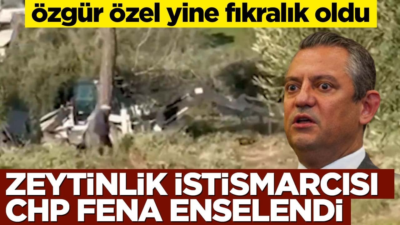 Özgür Özel yine fıkralık oldu! Zeytinlik istismarcısı CHP fena enselendi