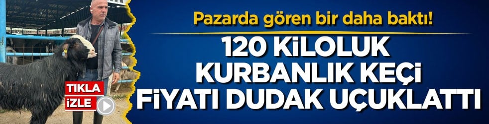 Pazarda gören bir daha baktı! 120 kiloluk kurbanlık keçi fiyatı dudak uçuklattı