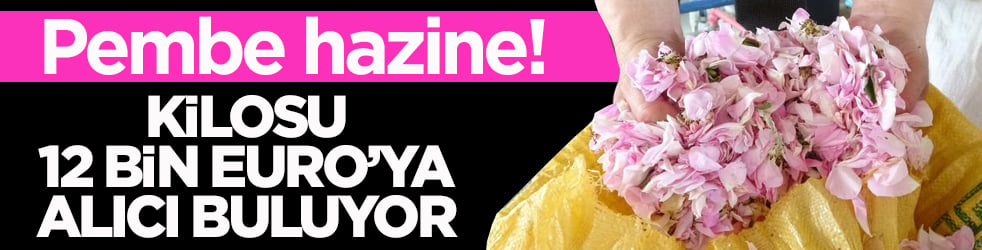 Pembe hazine! Kilosu 12 bin Euro’ya alıcı buluyor