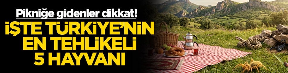 Pikniğe gidenler dikkat! İşte Türkiye'nin en tehlikeli 5 hayvanı