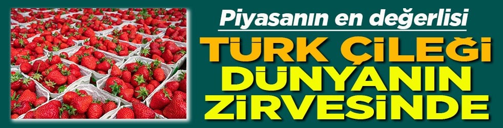 Piyasanın en değerlisi Türk çileği dünyanın zirvesinde