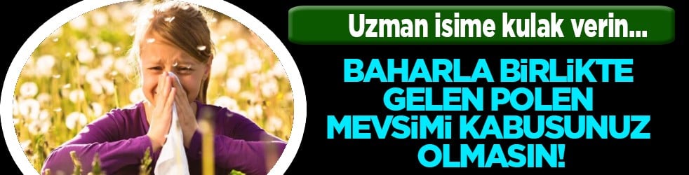 Polen filtreleri... Baharla birlikte gelen polen mevsimi kabusunuz olmasın