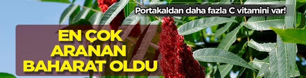Portakaldan daha fazla C vitamini var! 2025 yılı içerisinde en çok aranan baharat: Hazımsızlık sona erer
