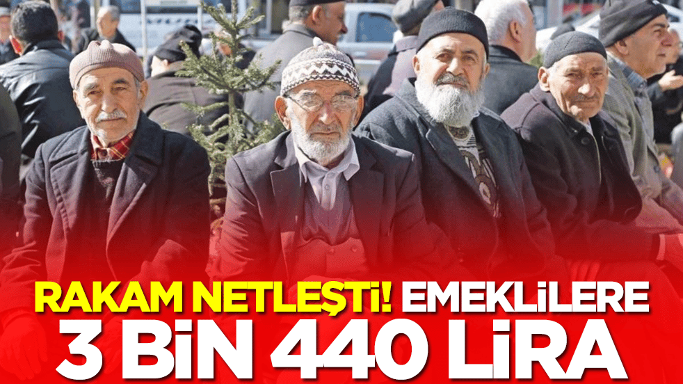 Rakam netleşti: Emeklilere 3 bin 440 lira 