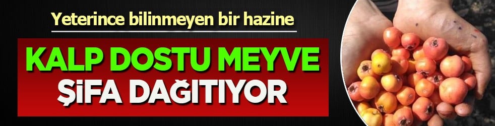 Resmen hazine! Kalp dostu meyve var ama biz kıymetini yeterince bilmiyoruz! Öyle bir şey ki... Ayrı bir şey