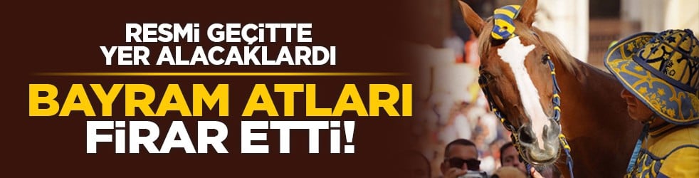 Resmi geçitte yer alacaklardı: Bayram atları firar etti!
