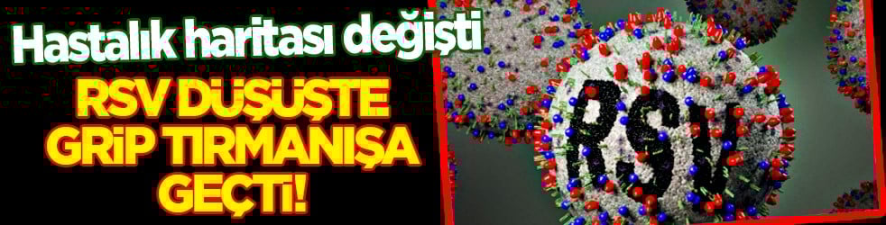 Respiratuvar Sinsityal Virüs... Hastalık haritası değişti: RSV düşüşte, grip tırmanışta