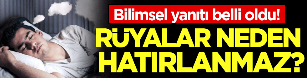 Rüyalar neden hatırlanmaz? Bilimsel yanıtı açıklandı!