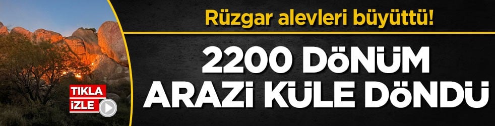Rüzgar alevleri büyüttü! 2200 dönüm arazi küle döndü