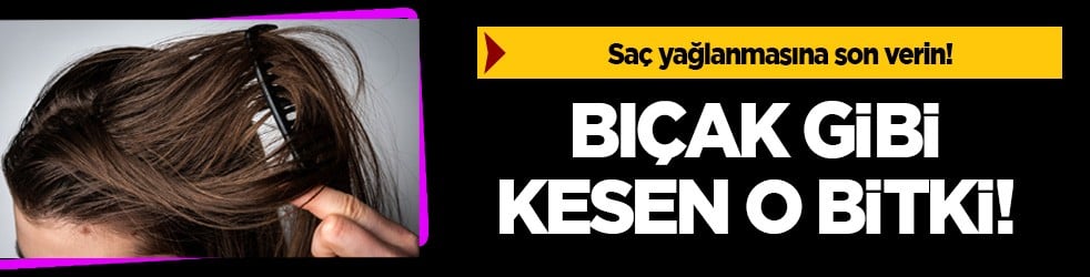  Saç yağlanmasına son verin! Bıçak gibi kesen o bitki: İçine koyun! Her geçen gün riskini bitiren mucize