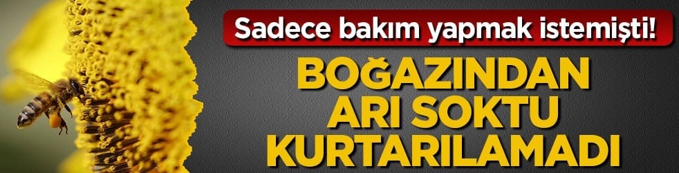 Sadece bakım yapmak istemişti! Boğazından arı soktu, kurtarılamadı