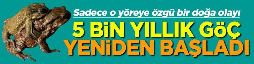 Sadece o yöreye özgü bir doğa olayı 5 bin yıllık göç yeniden başladı