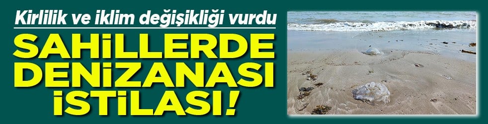 Sahillerde denizanası istilası!