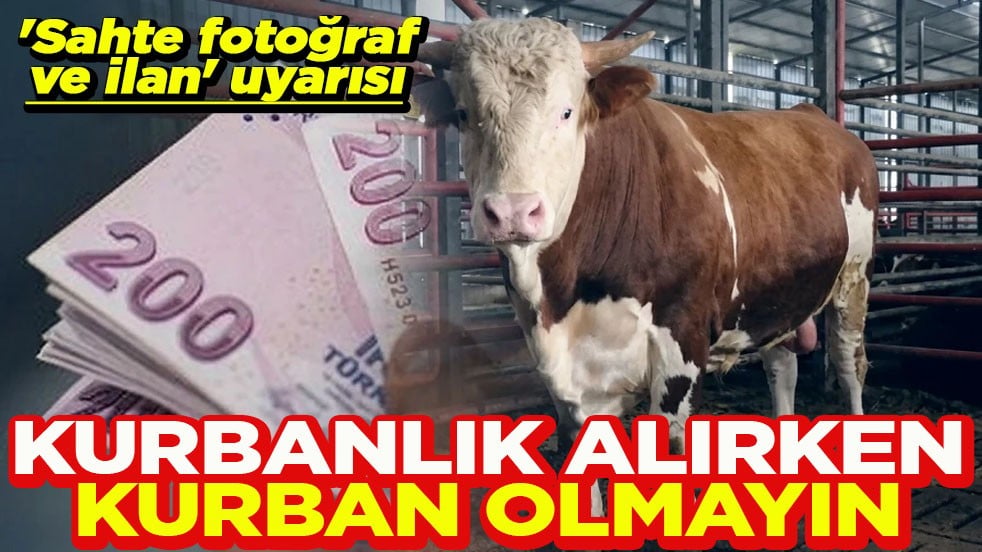 'Sahte fotoğraf ve ilan' uyarısı Kurbanlık alırken kurban olmayın