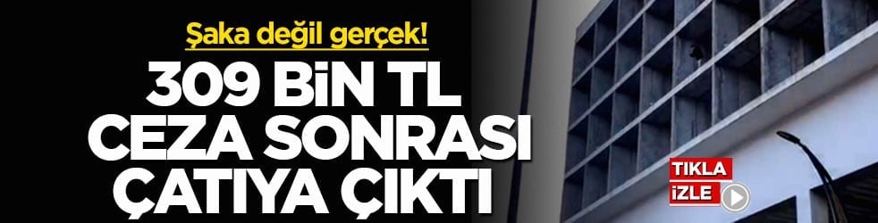 Şaka değil gerçek! 309 bin TL ceza sonrası çatıya çıktı