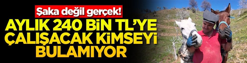 Şaka değil gerçek! Aylık 240 bin TL'ye çalışacak kimseyi bulamıyor