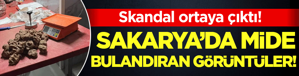 Sakarya'da mide bulandıran görüntüler! Skandal ortaya çıktı!