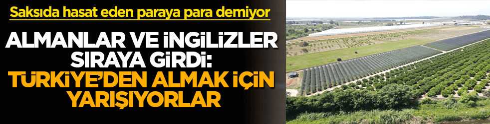 Saksıda hasat eden paraya para demiyor: Almanlar ve İngilizler sıraya girdi: Türkiye’den almak için yarışıyorlar