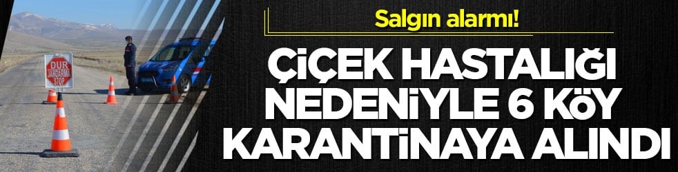 Salgın alarmı! Çiçek hastalığı nedeniyle 6 köy karantinaya alındı