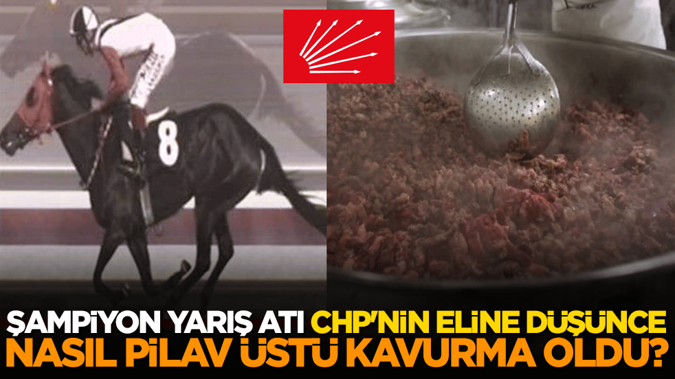 Şampiyon yarış atı CHP'nin eline düşünce nasıl pilav üstü kavurma oldu?