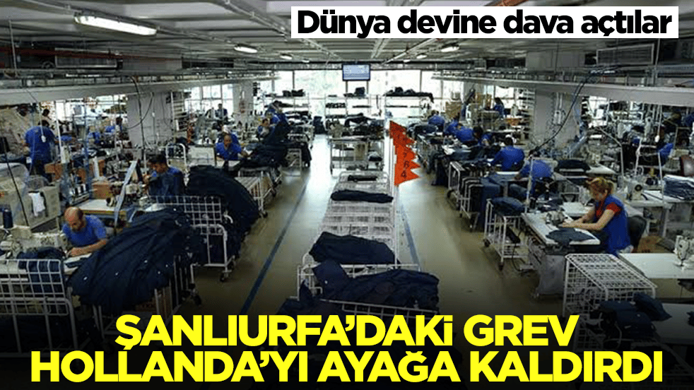 Şanlıurfa’daki grev Hollanda'yı ayağa kaldırdı: İşçilere neden sahip çıkmadınız