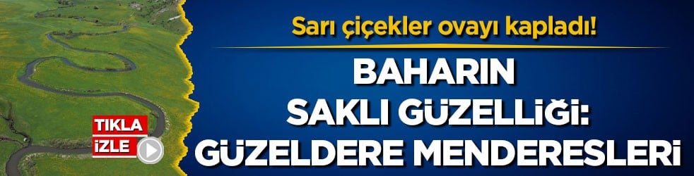 Sarı çiçekler ovayı kapladı! Baharın saklı güzelliği: Güzeldere Menderesleri