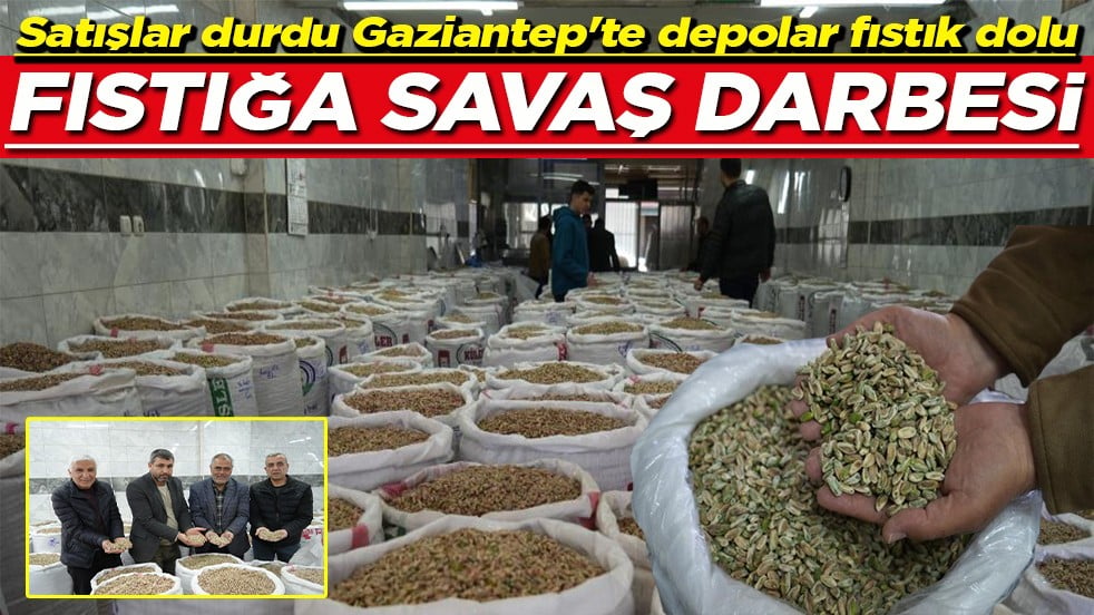 Satışlar durdu Gaziantep'te depolar fıstık dolu Fıstığa savaş darbesi 