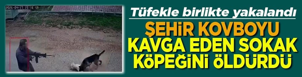 Şehir kovboyu kavga eden sokak köpeğini öldürdü