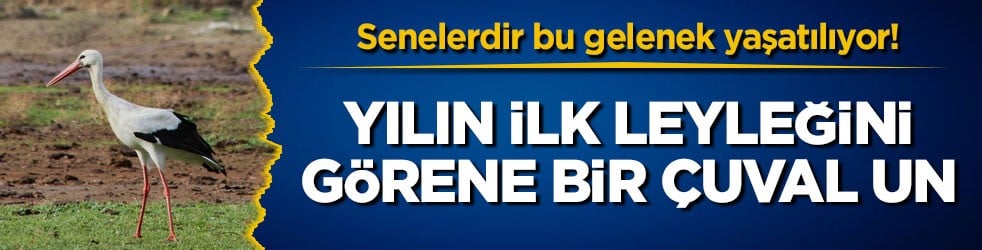 Senelerdir bu gelenek yaşatılıyor! Yılın ilk leyleğini görene bir çuval un