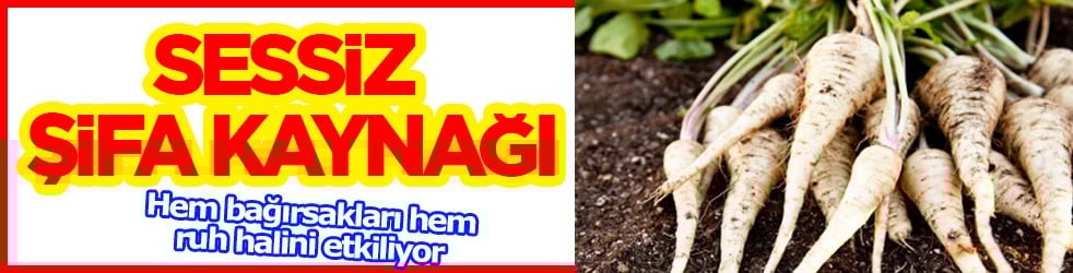 Sessiz şifa kaynağı gıda hakkında bilinmeyen gerçek: Bağırsakları ve ruh halini böyle etkiliyor