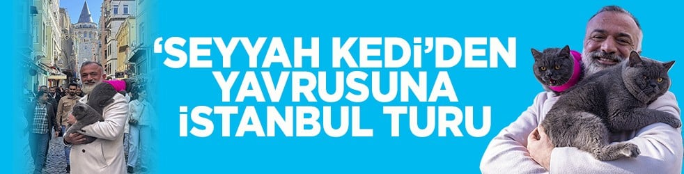Seyyah Kedi'den yavrusuna omuzda İstanbul turu