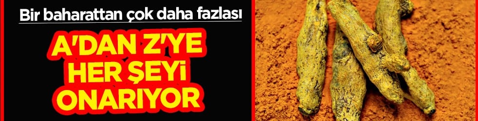 Sihirli değnek misali... Sadece bir baharattan çok daha fazlası: A'dan Z'ye onarıyor