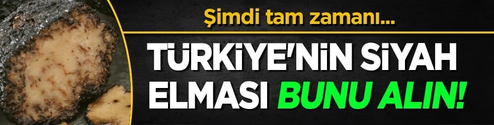 Şimdi tam zamanı! Türkiye'nin siyah elması: Herkes peşinde, protein deposu... Herkes bunu yapsın
