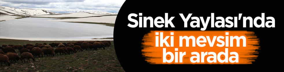Sinek Yaylası'nda iki mevsim bir arada
